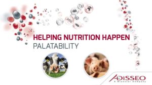 Helping Nutrition Happen Video Banner