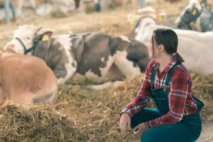 A female farmer checking out on her cows in the cowshed.