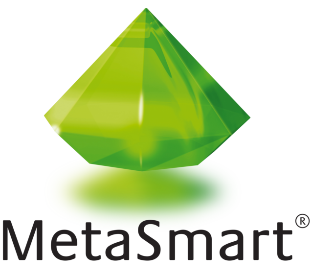 MetaSmart Logo
