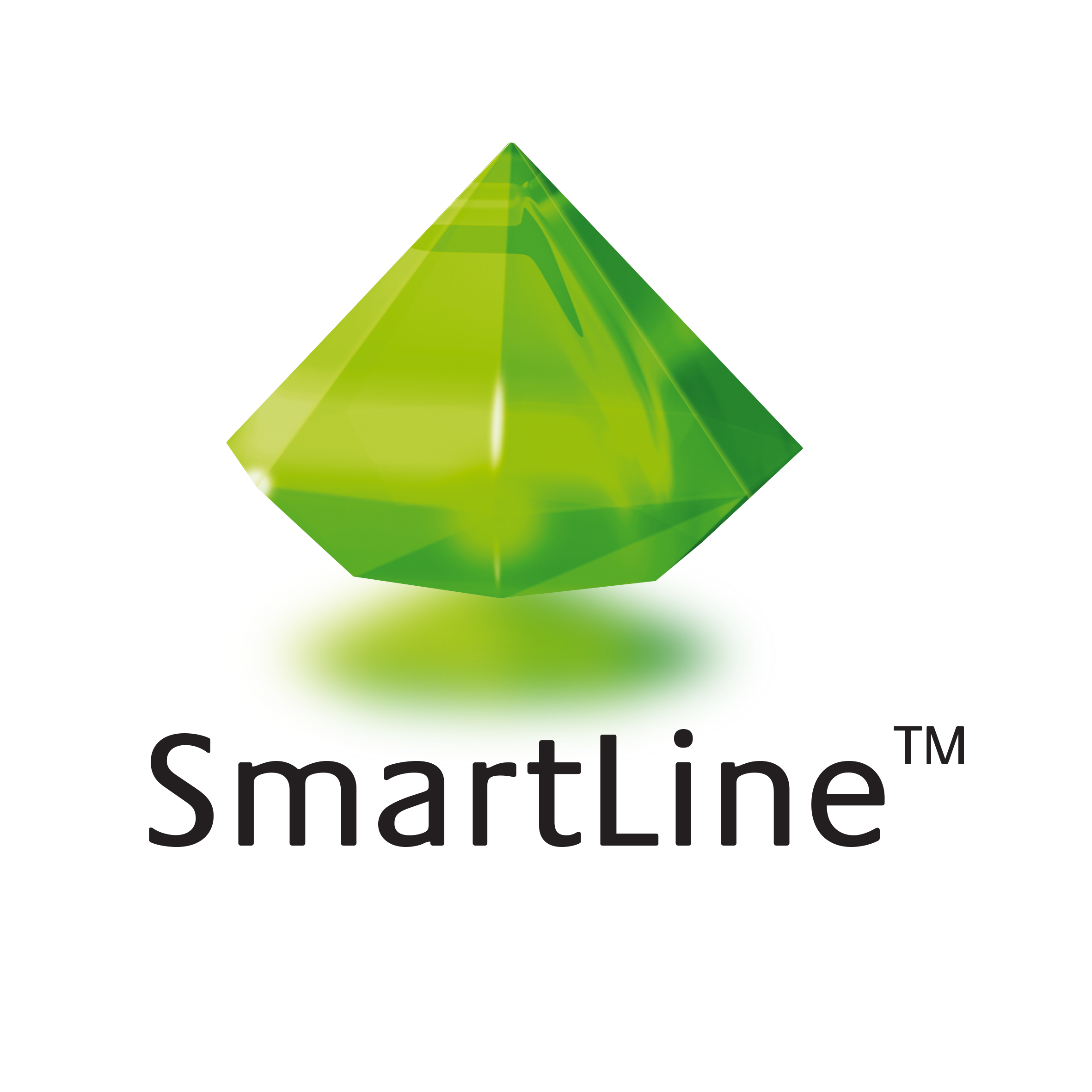 SmartLine TM logo