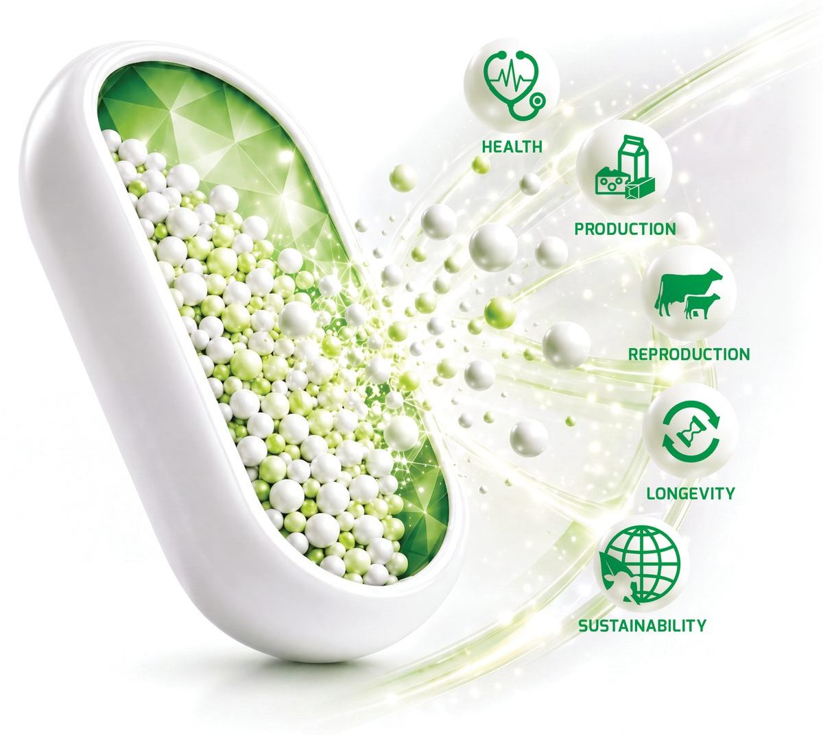 Smartamine MAX capsule supporting health, production, reproduction, longevity and sustainability